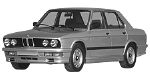 BMW E28 C213A Fault Code
