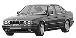 BMW E34 C213A Fault Code