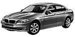 BMW F10 C213A Fault Code